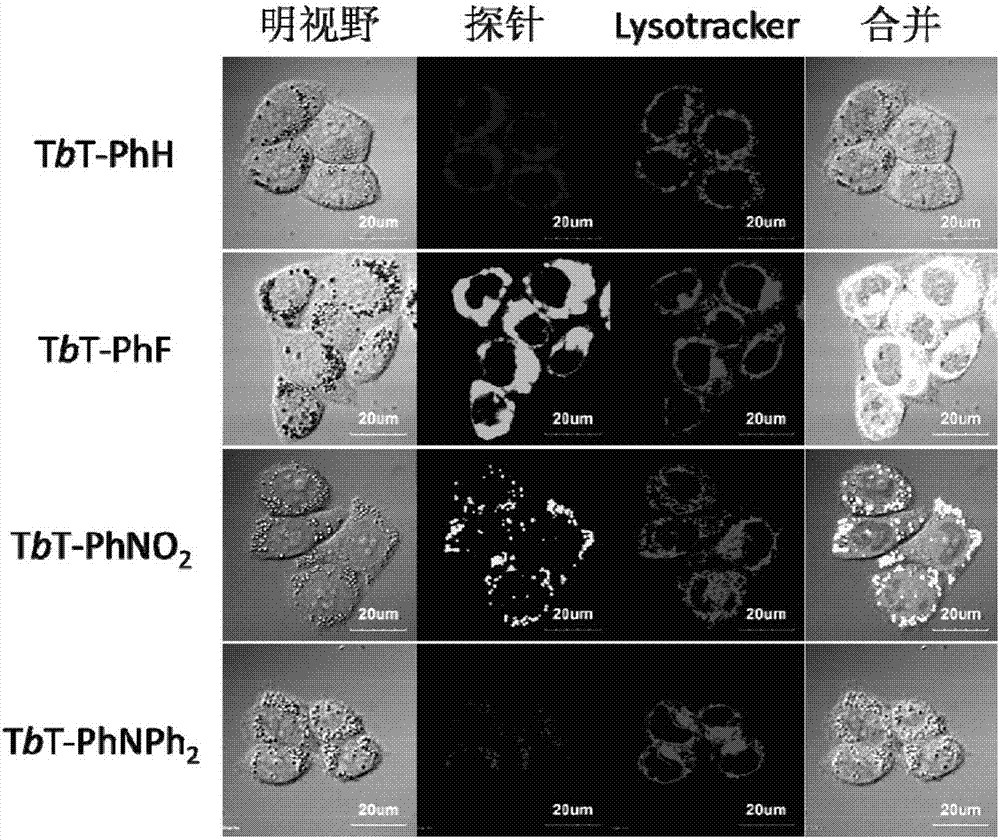 Thiophene [3,4-b] thiophene panchromatic fluorescent dye as well as preparation method and application thereof