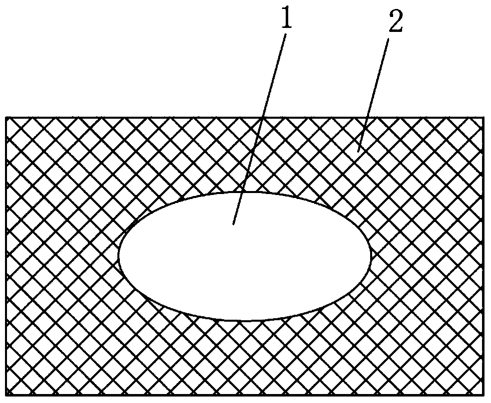 Manufacturing method for electro-chemical electrical conducting functional membrane