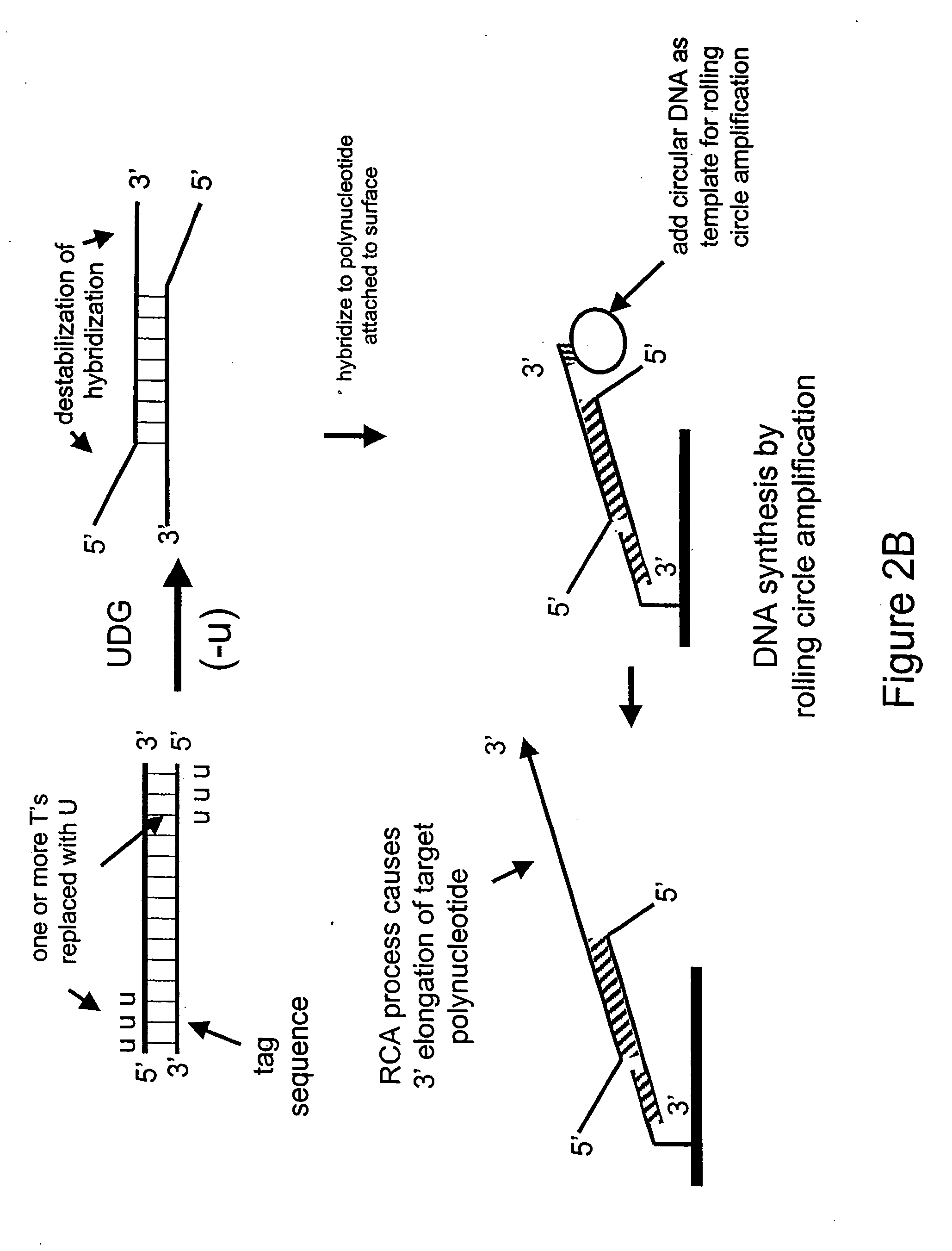 Nucleic acid hybridization methods