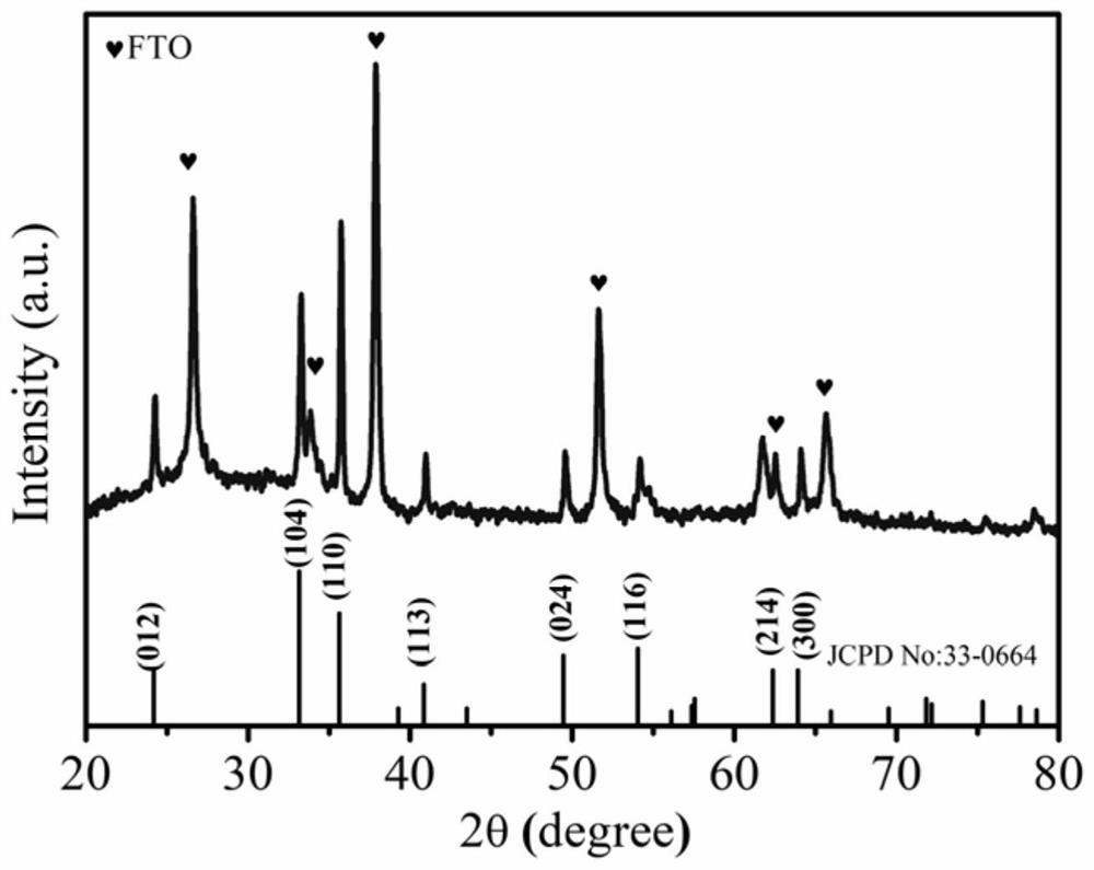 Preparation of three-dimensional conductive framework and application of three-dimensional conductive framework in ferric oxide photo-anode