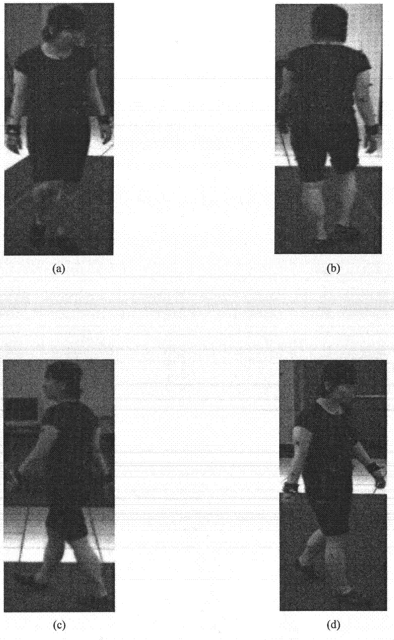 Image Feature Representation and Human Movement Tracking Method Based on the Second Generation Striplet Transform