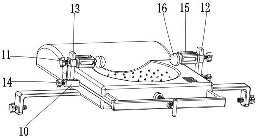 Psychiatric disease abnormity nursing device