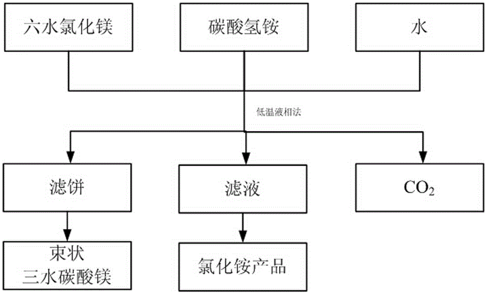 Preparation method of fascicular magnesium carbonate trihydrate crystals