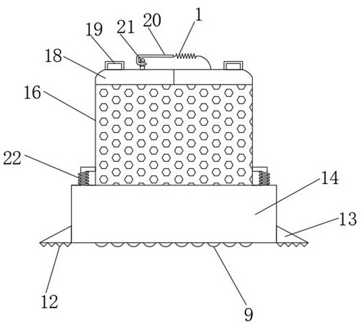 Seedling root protection device for tree transplanting