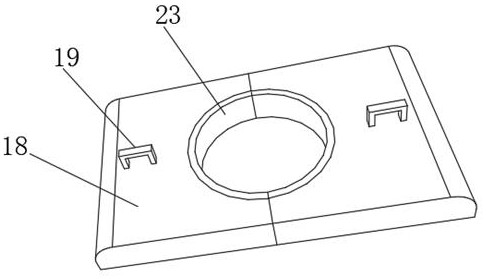 Seedling root protection device for tree transplanting