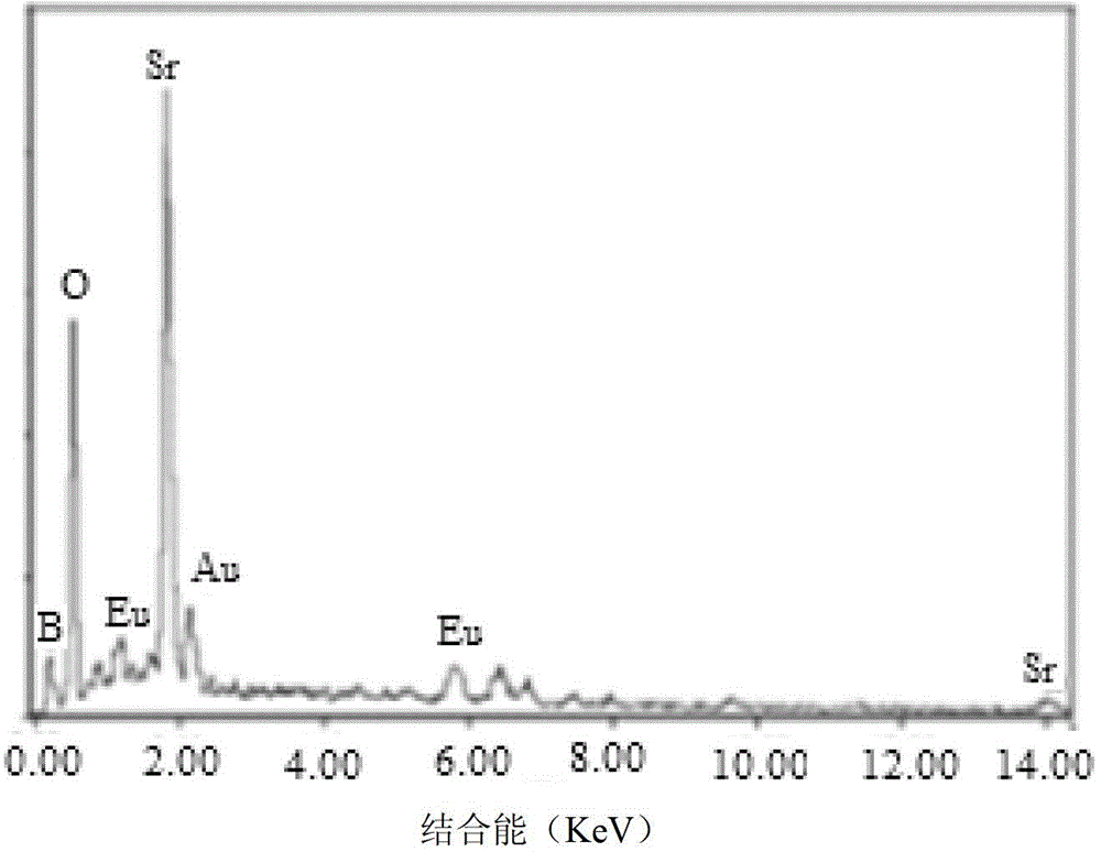 Preparation method for SrB6O10/5H2O:Eu&lt;3&gt; luminous material