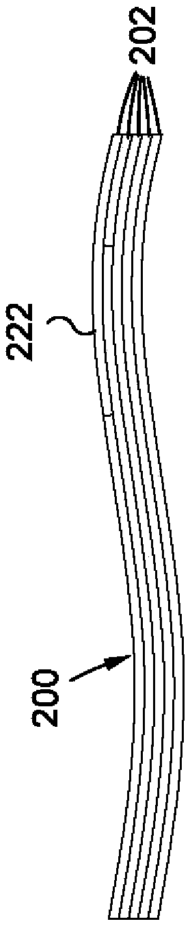 System and method for determining the direction and spacing of fiber paths for a composite ply