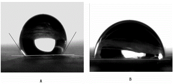 Surface modification method of polypropylene non-woven fabric