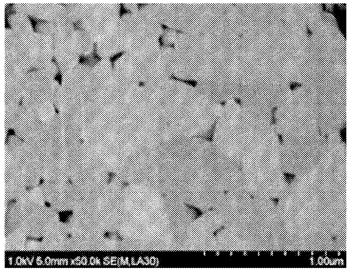 Positive electrode active material for lithium secondary battery, method for preparing the same, and lithium secondary battery including the same