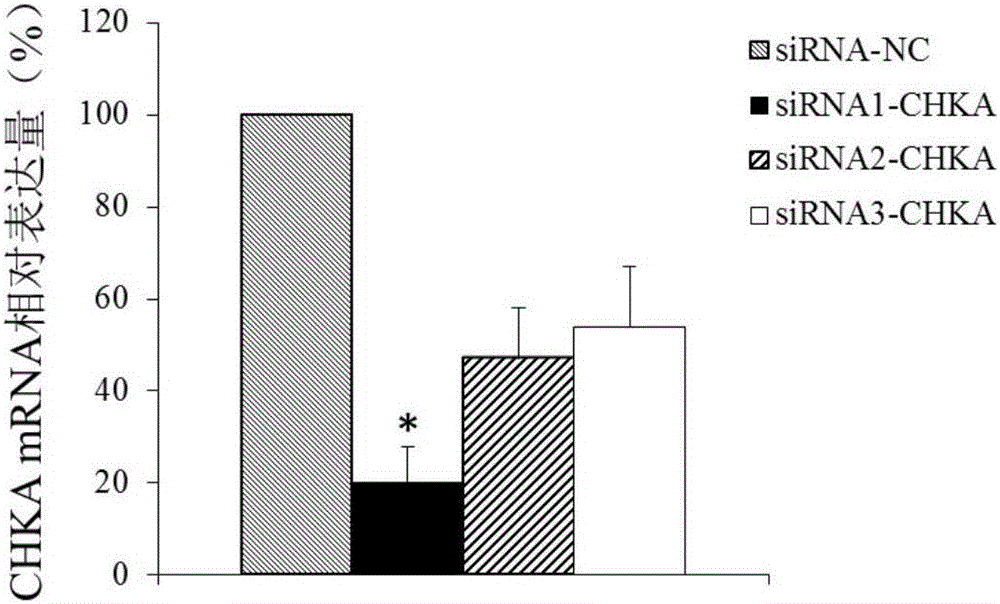 Application of CHKA gene to preparation of esophageal cancer diagnosis and treatment product