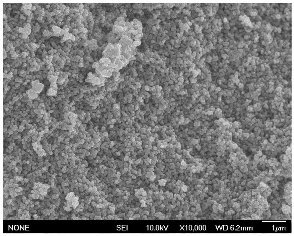 A kind of preparation method of vanadium dioxide nanopowder