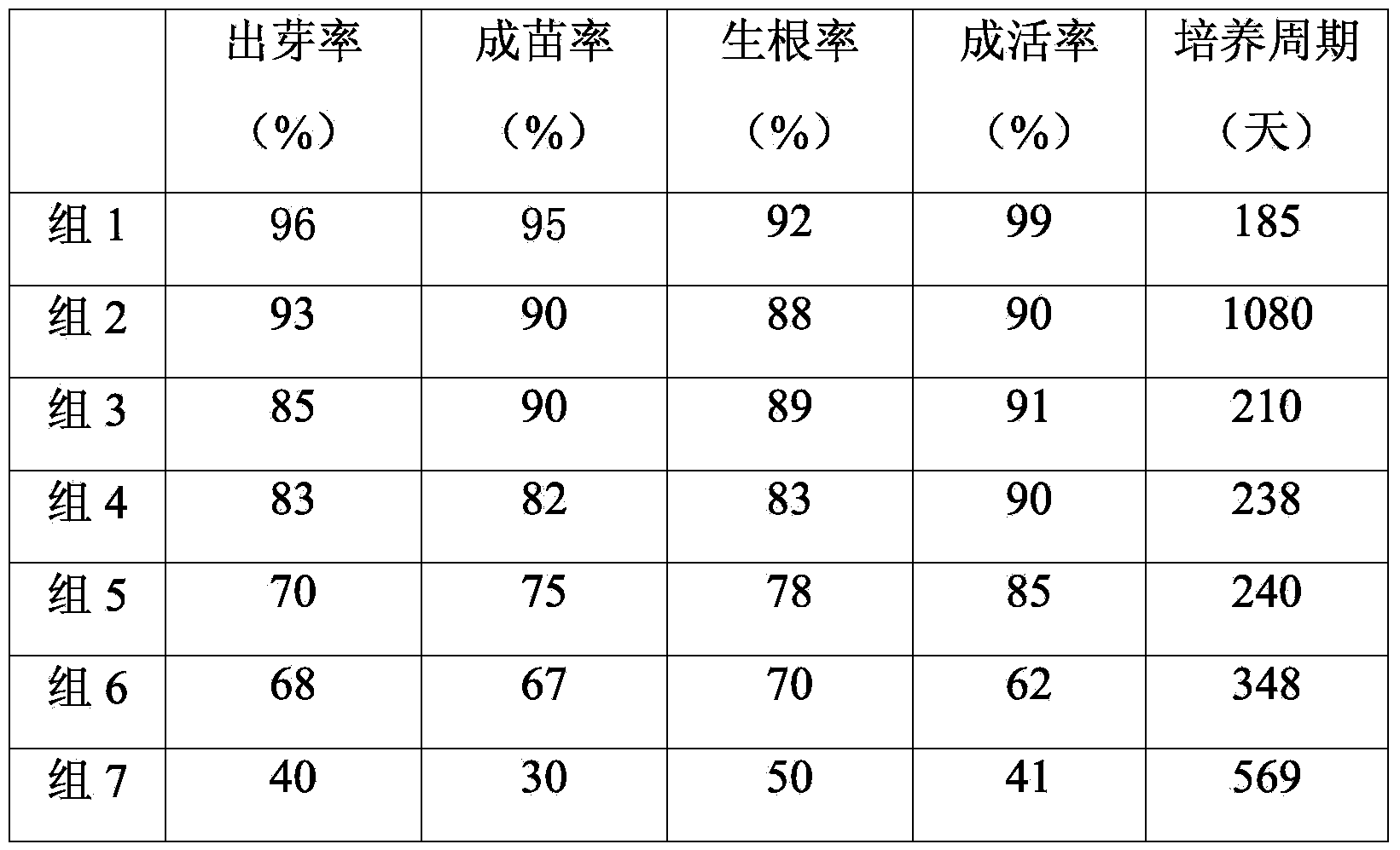 Method for rapidly propagating dendrobium chrysotoxumLindl. seeds by tissue culture