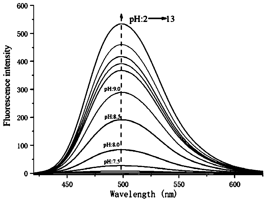 Fluorescence probe for identifying cupric ions under alkaline condition and preparation method and application of fluorescence probe