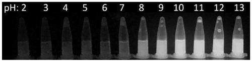 Fluorescence probe for identifying cupric ions under alkaline condition and preparation method and application of fluorescence probe