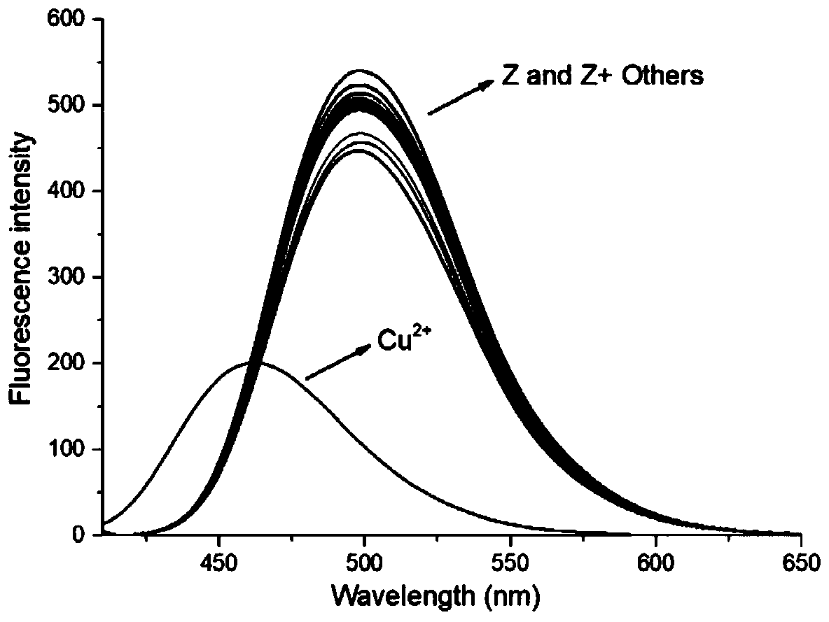 Fluorescence probe for identifying cupric ions under alkaline condition and preparation method and application of fluorescence probe