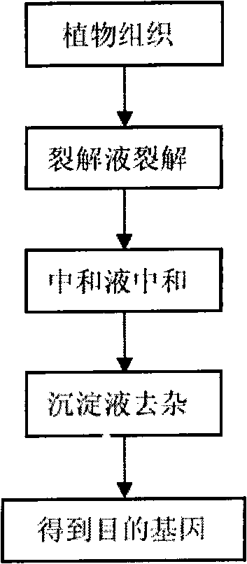 Kit for quickly extracting plant genome and applications thereof