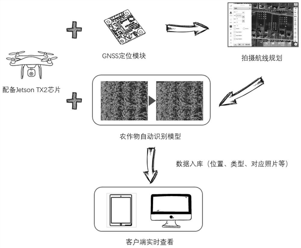 Real-time identification system and method for crops based on unmanned aerial vehicle