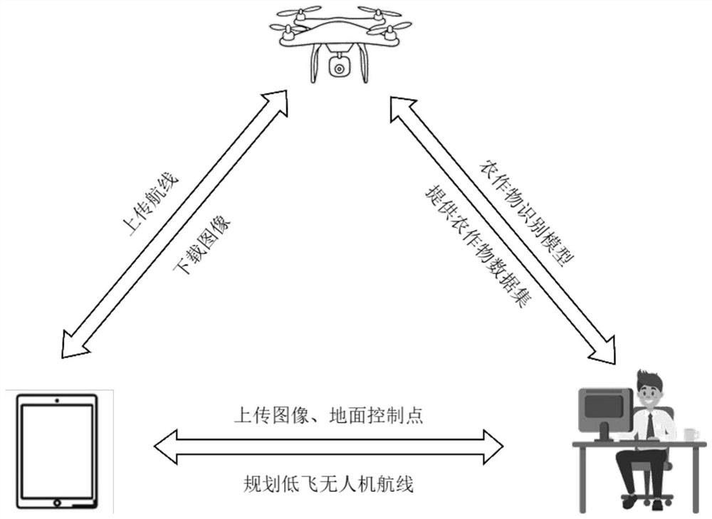 Real-time identification system and method for crops based on unmanned aerial vehicle