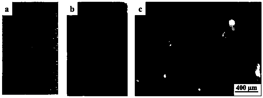 Latent fingerprint developing cotton sheet and application