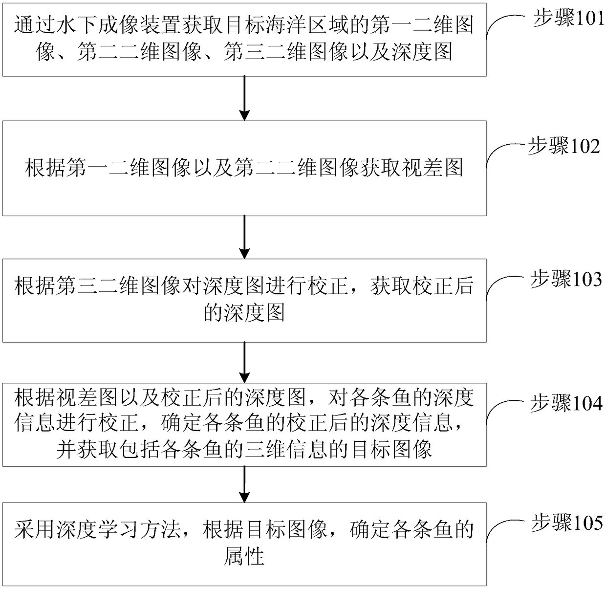 3D image acquisition and processing method, device, equipment and medium of marine fish