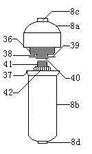 Active water purifier with decontamination function and manufacturing method thereof