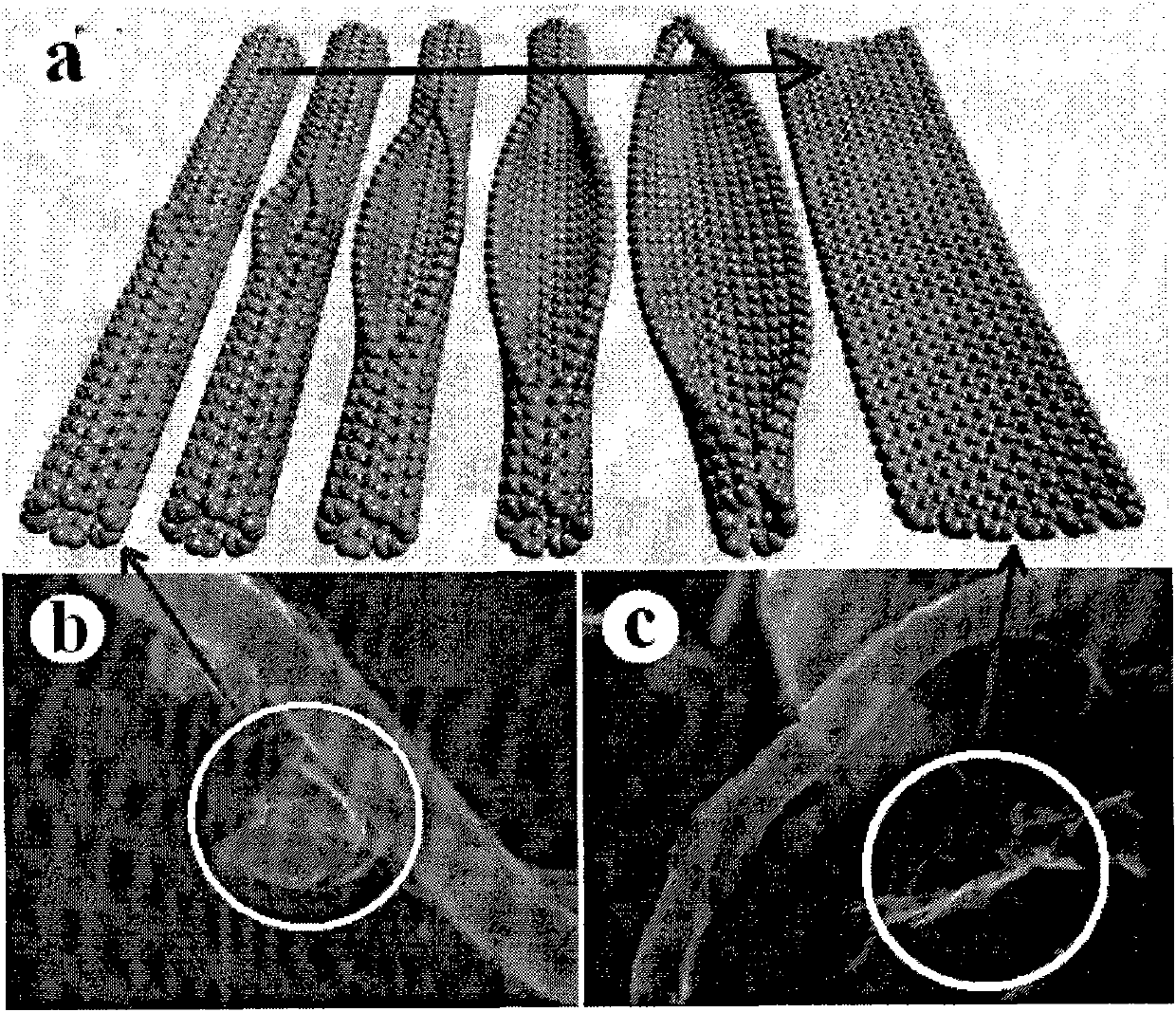 Preparation method for activated carbon/carbon nano tube mixed electrode material, and product thereof and application