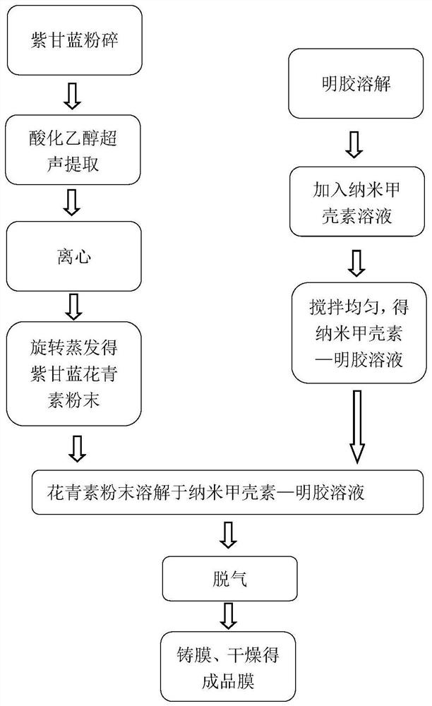 Preparation method, product and application of a purple cabbage anthocyanin-nano chitin gelatin composite film