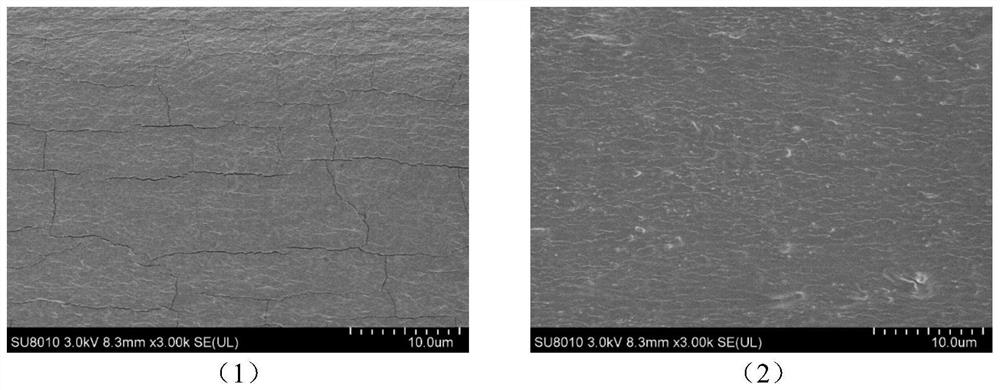 Preparation method, product and application of a purple cabbage anthocyanin-nano chitin gelatin composite film