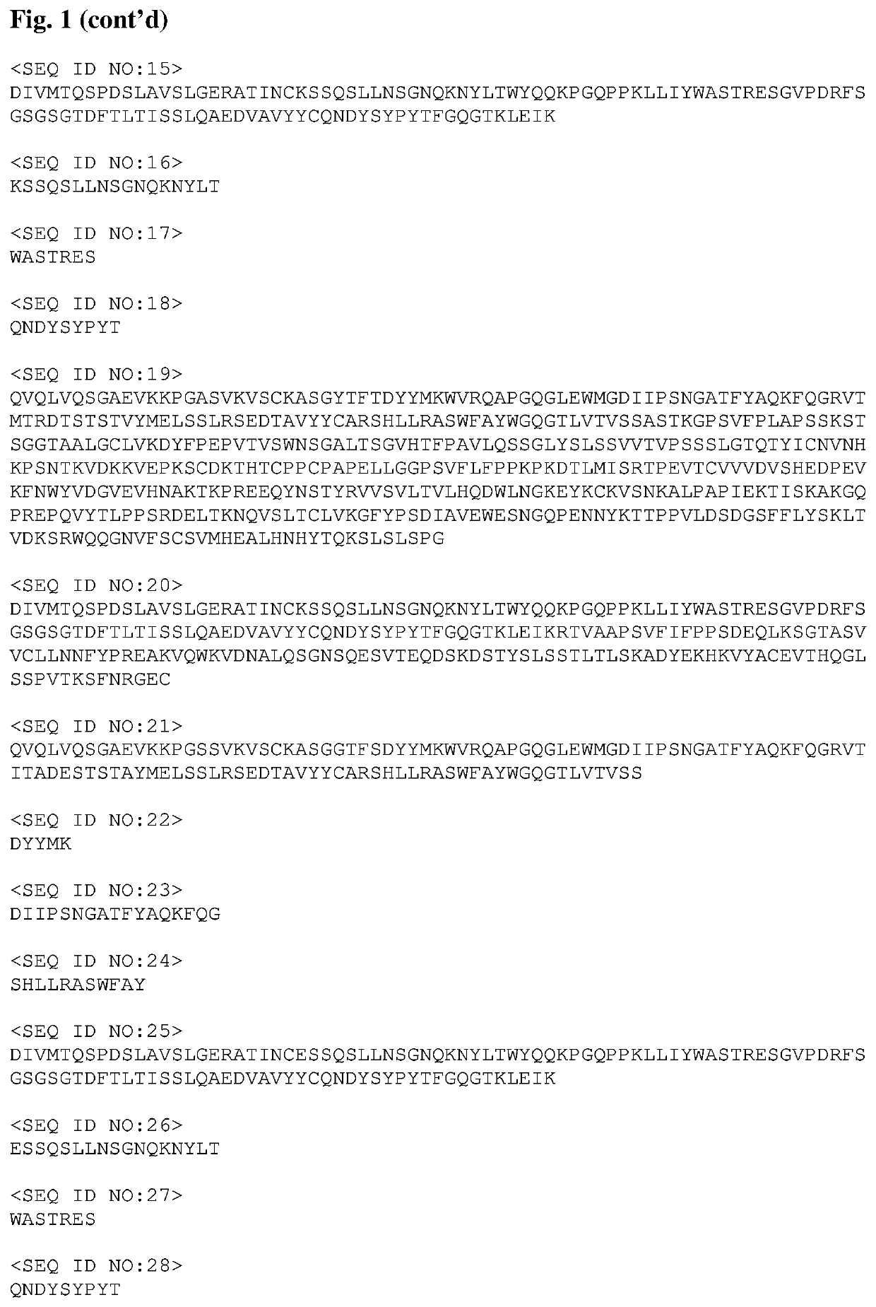 Specific antibody-drug-conjugates (ADCs) with KSP inhibitors and anti-CD123-antibodies