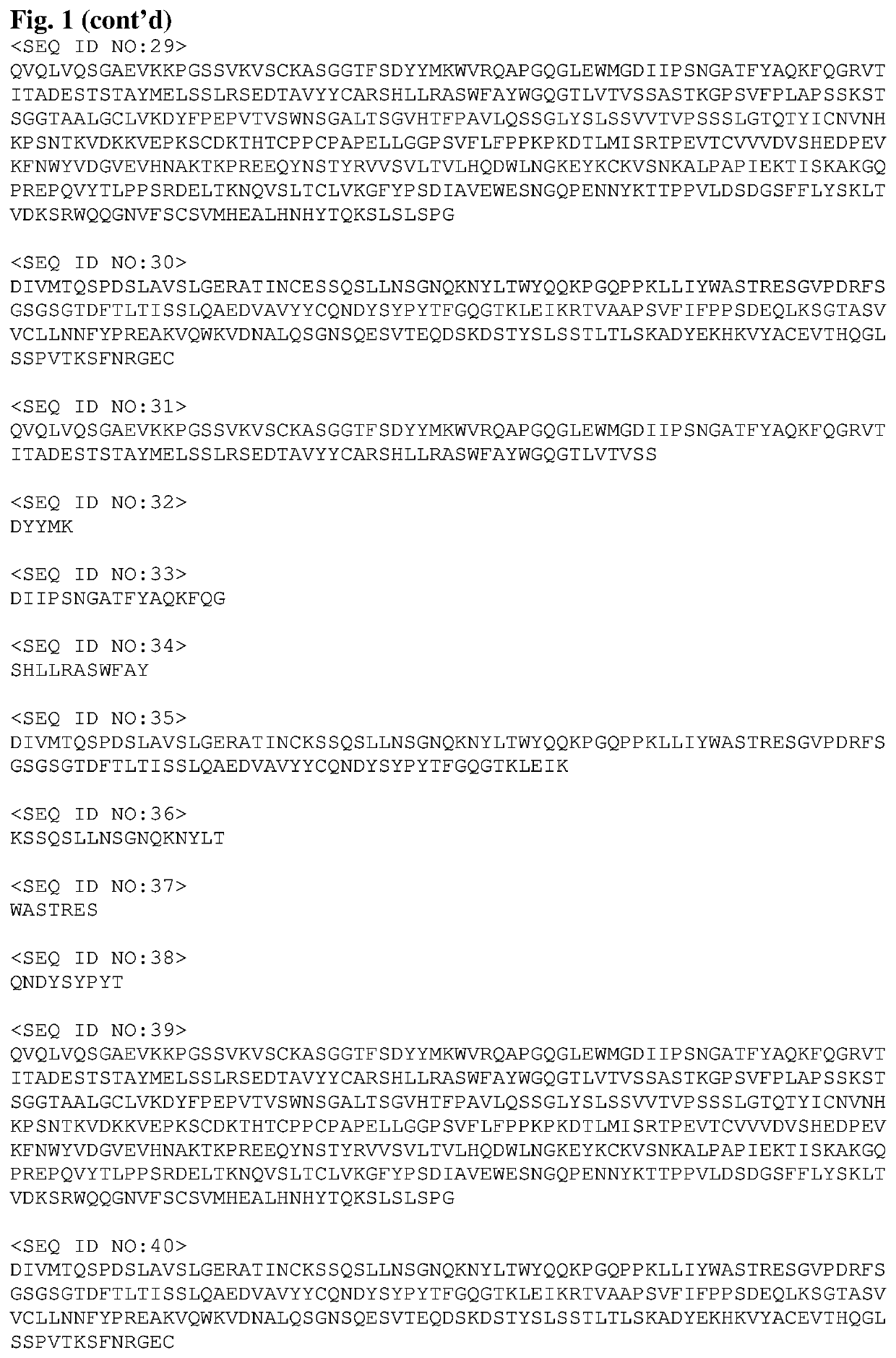 Specific antibody-drug-conjugates (ADCs) with KSP inhibitors and anti-CD123-antibodies