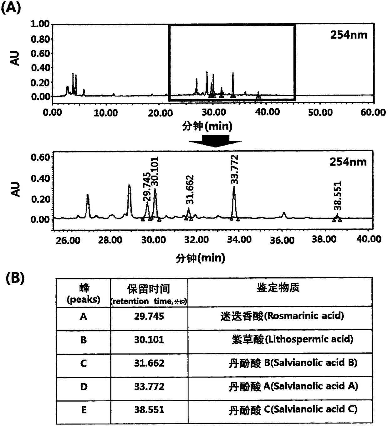 Composition, containing lithospermi radix extract as active ingredient, for preventing, alleviating, or treating peripheral neuropathy