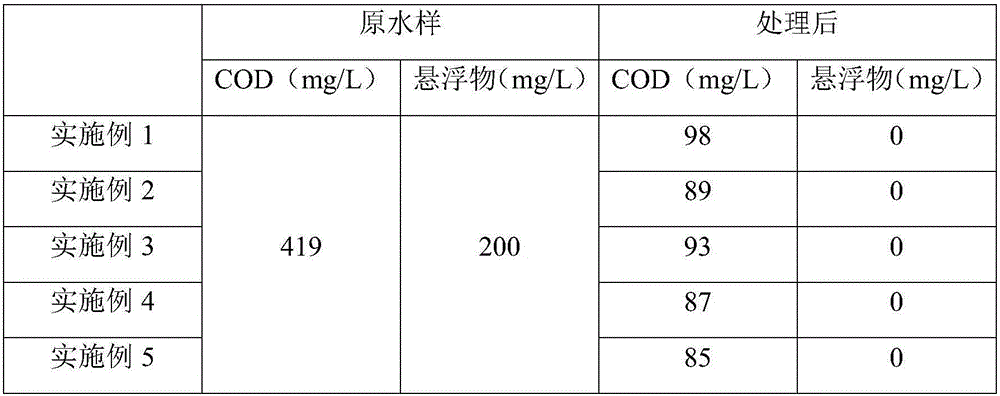 Water purifier and preparation method thereof