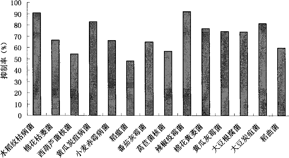 Bacillus amyloliquefaciens and application thereof