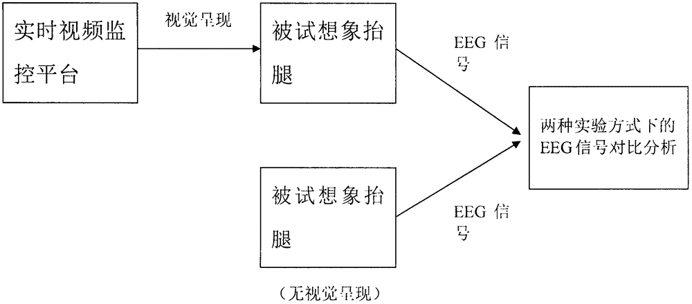 Real-time monitoring video induction-based motor imagery BCI system