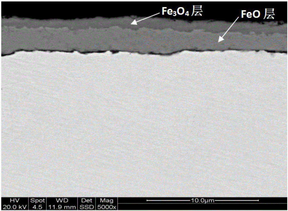 Manufacturing method of thin slab casting and rolling high-surface-quality medium-high carbon steel