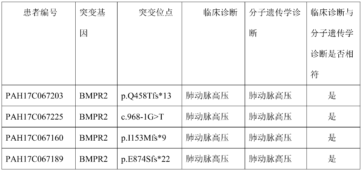 Method for detecting pathogenic/susceptibility genes of pulmonary arterial hypertension