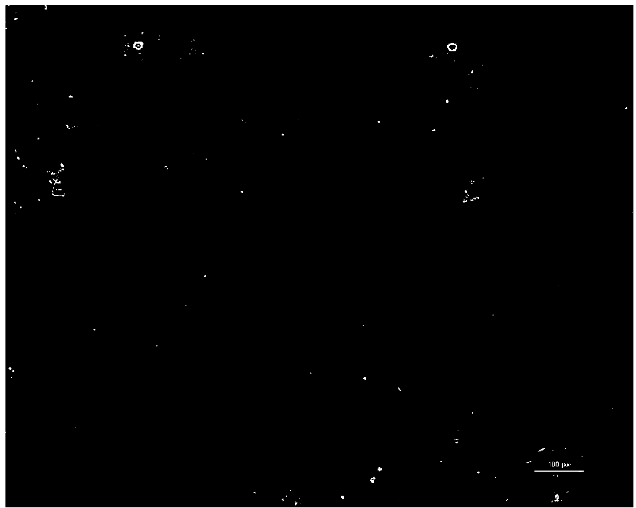 Preparation method of artificial skin by taking VEGF165 gene modified hair follicle stem cells as seed cells