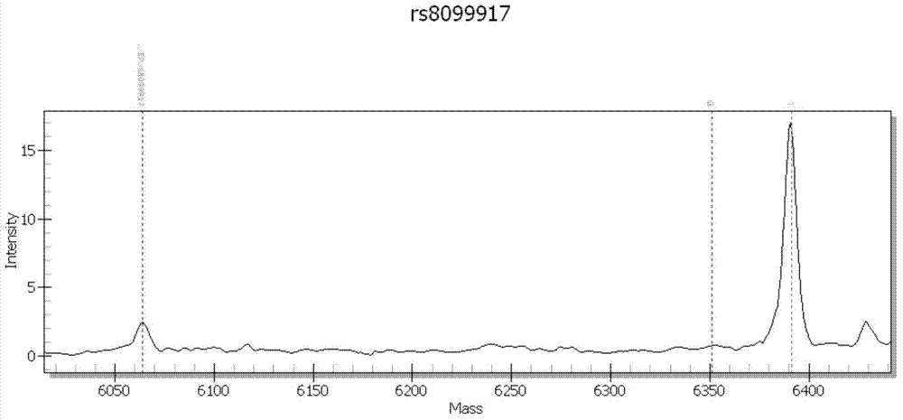 Primers, kit and method for detection of polymorphism of human IL28B gene