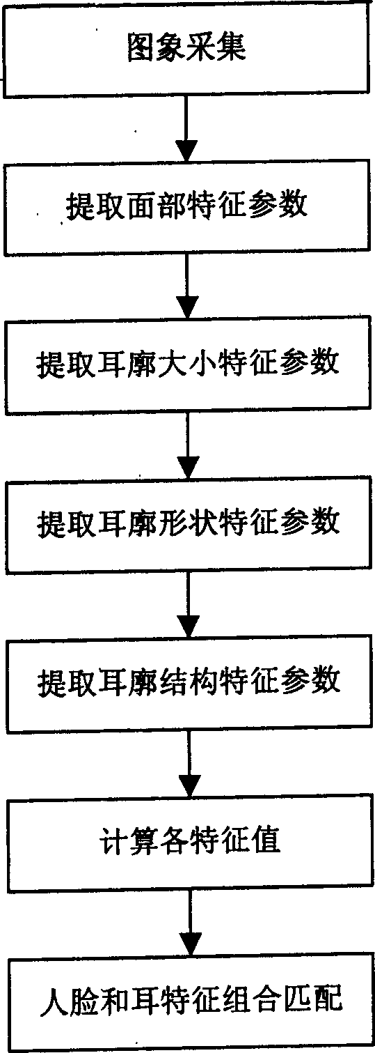 Combined recognising method for man face and ear characteristics