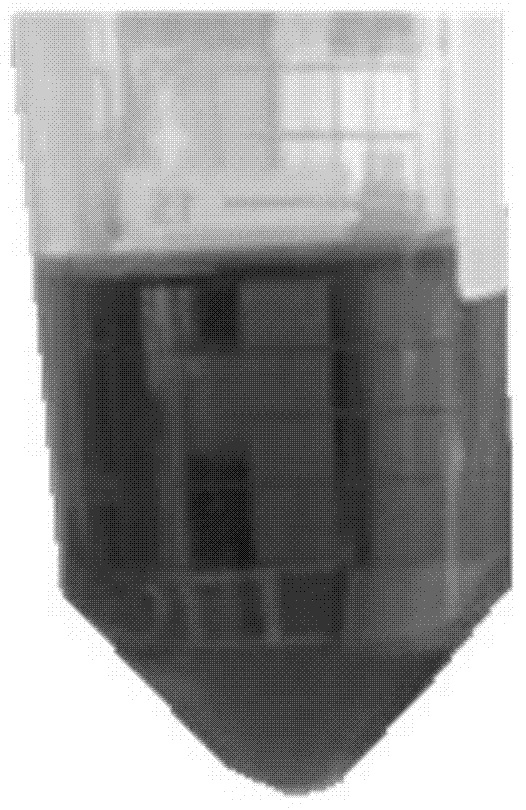 Method for extracting marine red shrimp astaxanthin from rhodotorula mucilaginosa