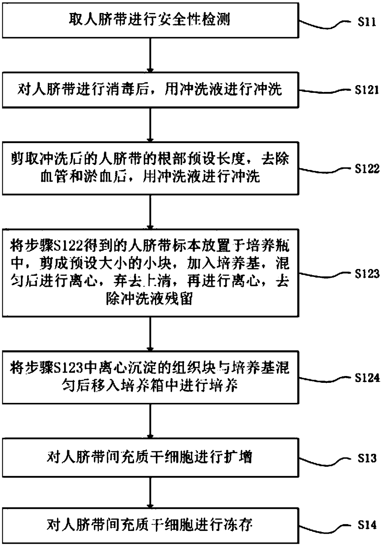 Construction method of human umbilical cord mesenchymal stem cell (UCMSCS) seed bank and detection platform thereof