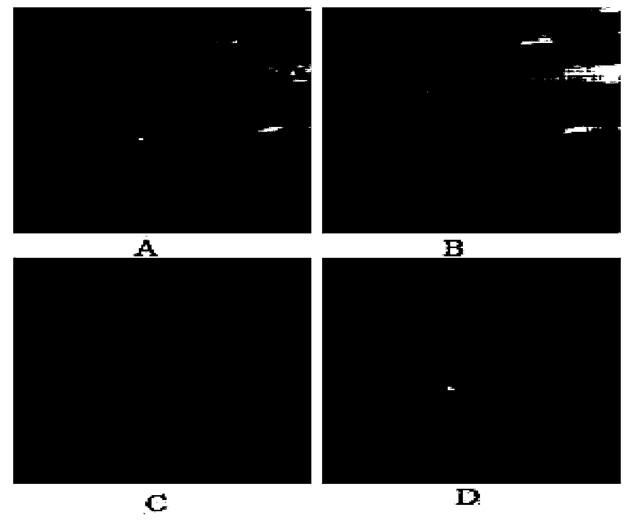 Compressed sampling matrix decomposition-based infrared small target detection method