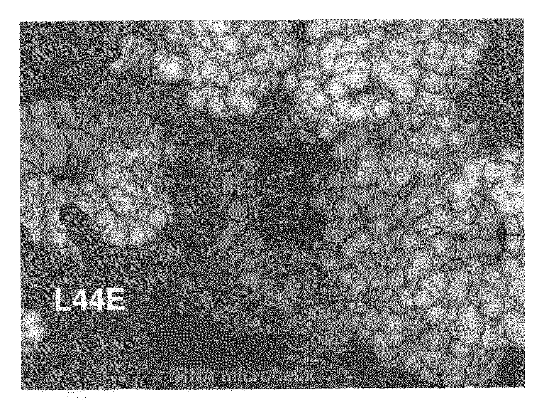 Protein synthesis modulators