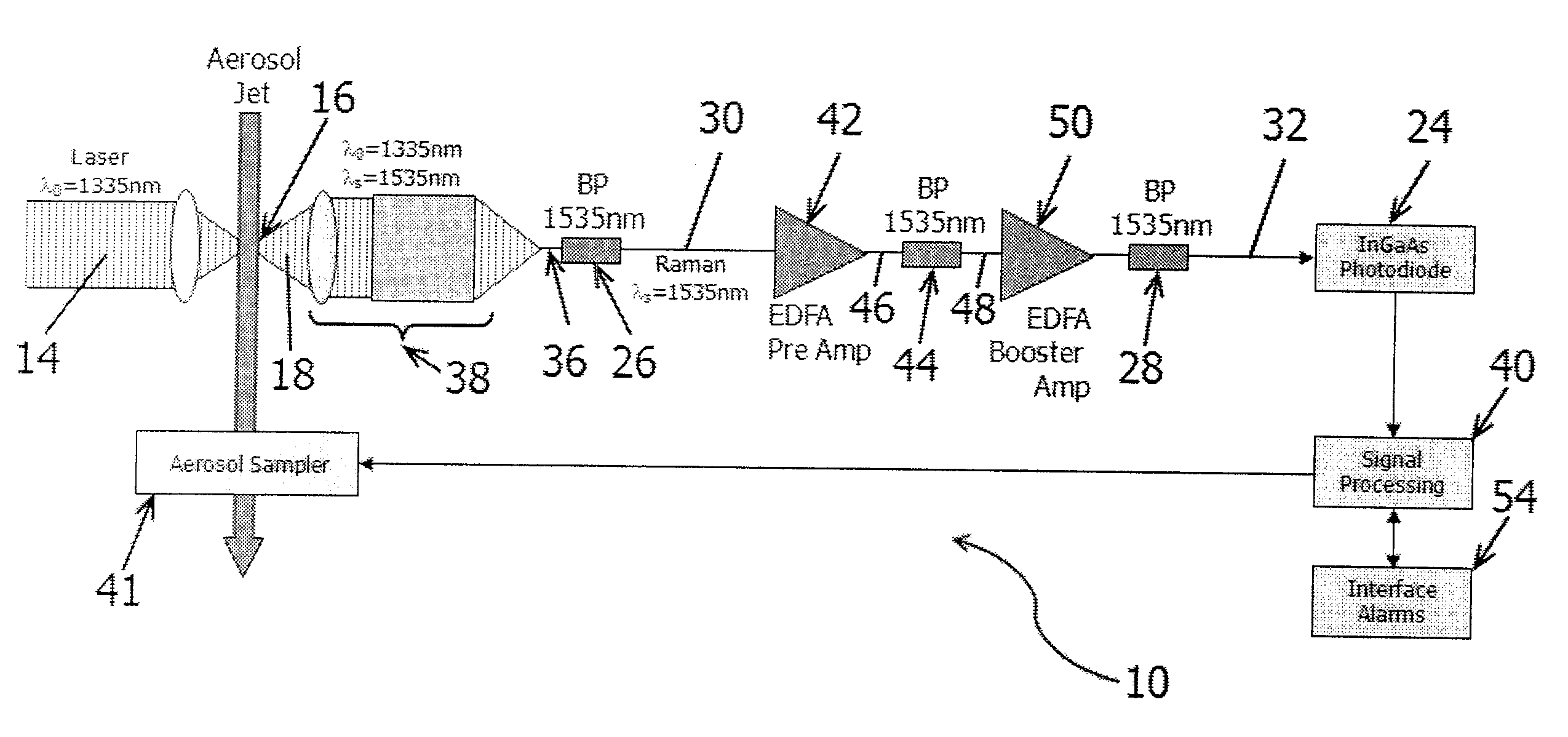 Raman spectrometer having wavelength-selective optical amplification