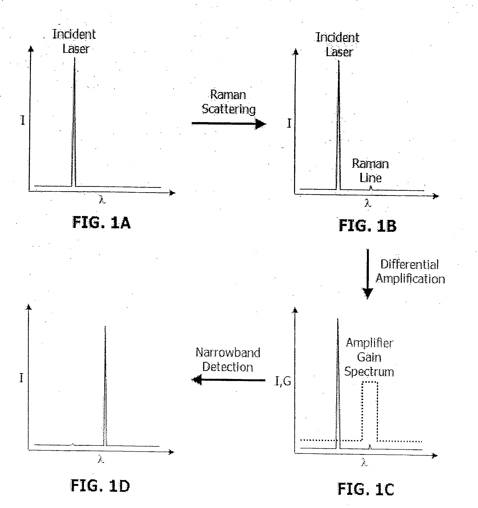 Raman spectrometer having wavelength-selective optical amplification