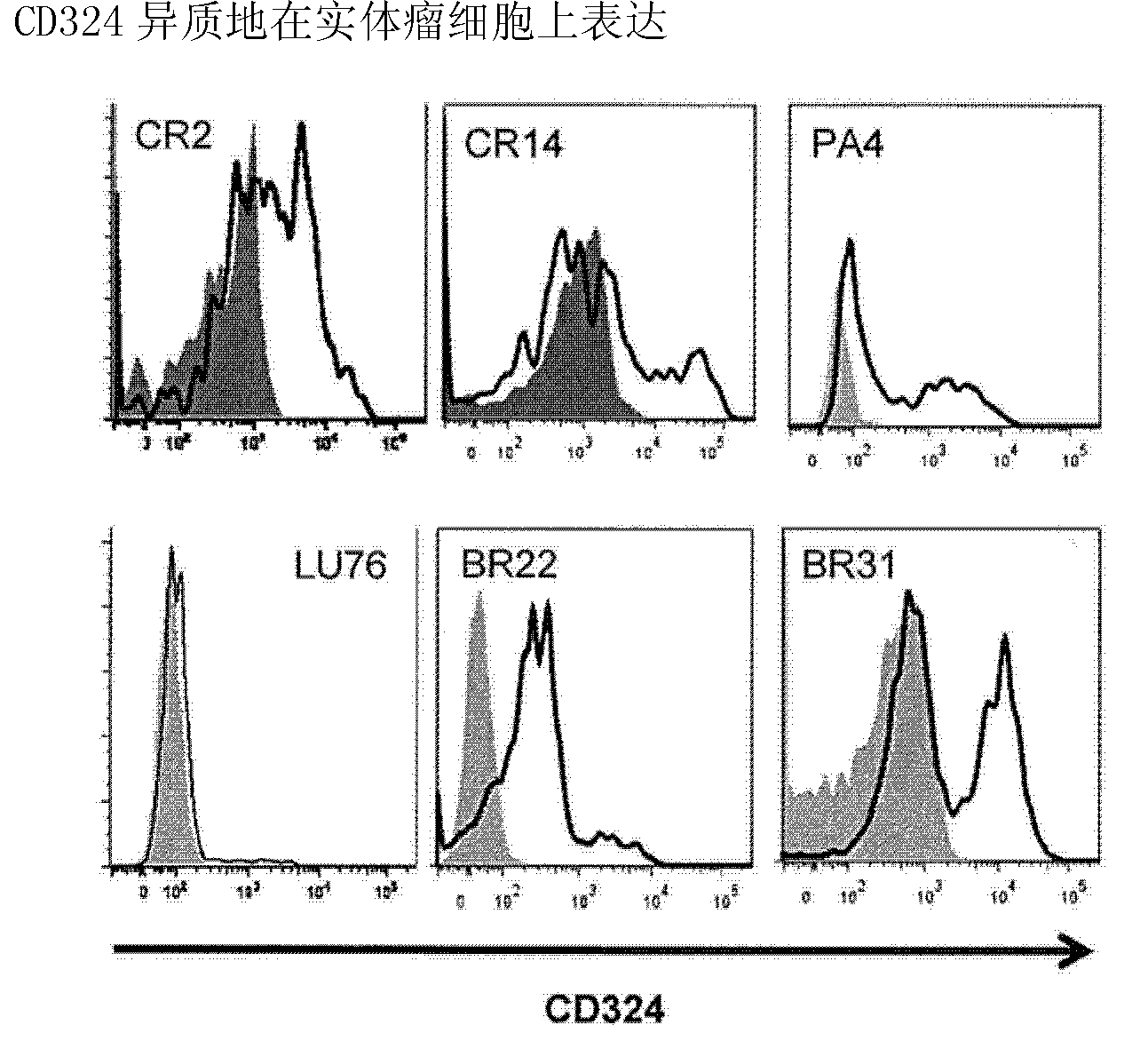 Identification and enrichment of cell subpopulations