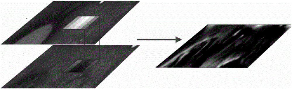 Method and device for recognizing iris in human eye images