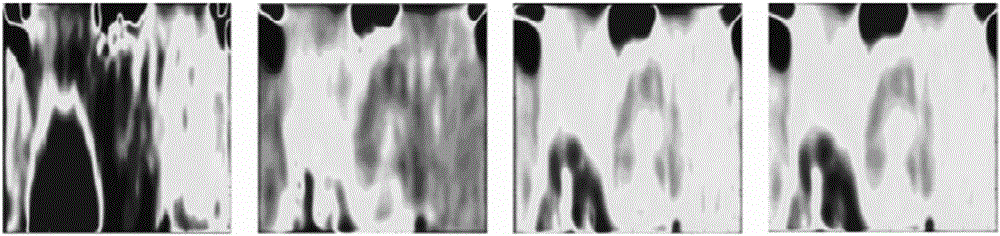 Method and device for recognizing iris in human eye images