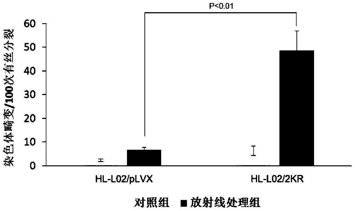 Application of histone H2B mono-ubiquitination for identifying homologous recombination repair defects