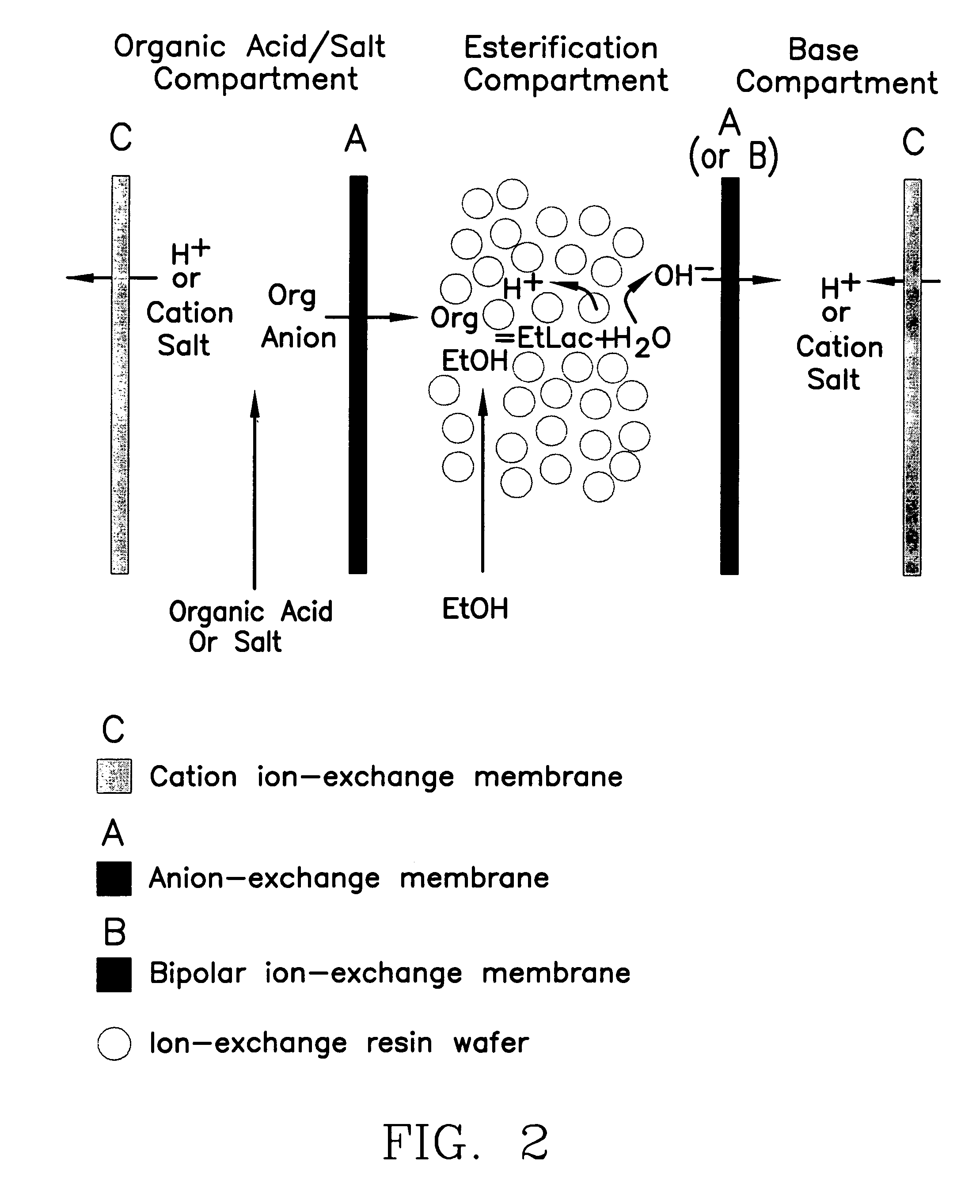 Single-stage separation and esterification of cation salt carboxylates using electrodeionization